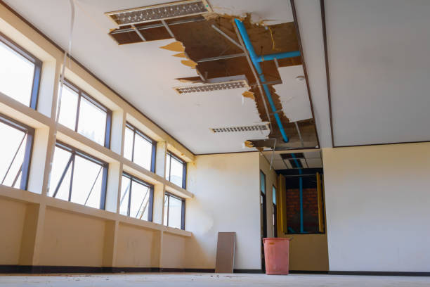 Best Mold removal after water damage  in Blue Jay, OH