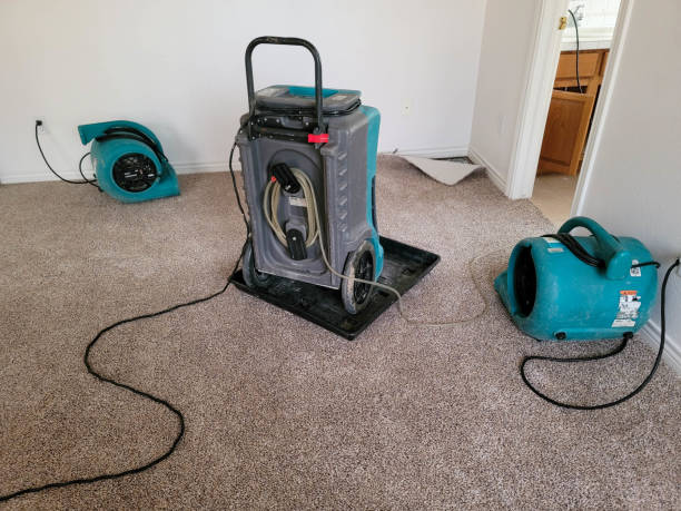 Best Water damage restoration cost  in Blue Jay, OH