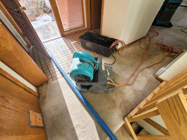Best Flood damage cleanup  in Blue Jay, OH