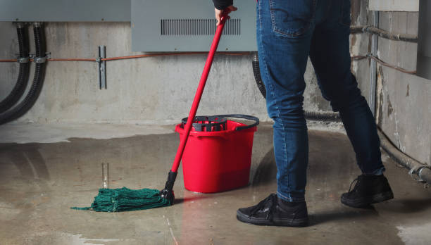 Best Water damage restoration mold remediation  in Blue Jay, OH