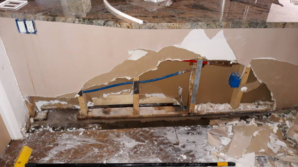 Best Water damage contractors near me  in Blue Jay, OH