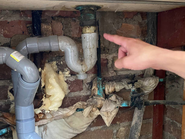 Best Water damage restoration near me  in Blue Jay, OH