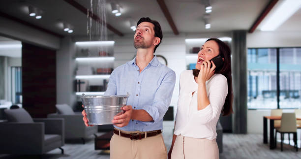 Best Water damage repair service  in Blue Jay, OH