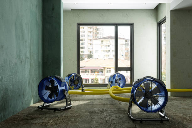 Best Residential water damage restoration  in Blue Jay, OH
